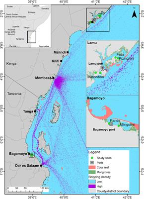 Policy gaps in the East African Blue economy: Perspectives of small-scale fishers on port development in Kenya and Tanzania